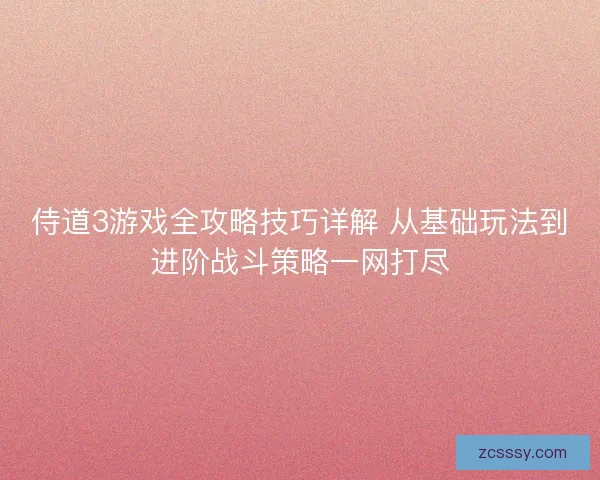 侍道3游戏全攻略技巧详解 从基础玩法到进阶战斗策略一网打尽